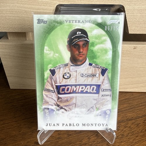 Juan pablo montoya veterano - montoya,