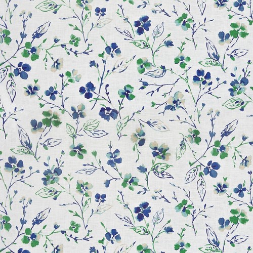 Montoya delphinium 2 - montoya,